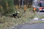 Vrbu, jejíž větve hrozily pádem, ořezávali v úterý dopoledne ostravští hasiči. Zasahovali u křižovatky ulic Plzeňské a U lesa nedaleko radnice v městské části Ostrava-Jih. 