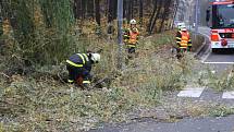 Vrbu, jejíž větve hrozily pádem, ořezávali v úterý dopoledne ostravští hasiči. Zasahovali u křižovatky ulic Plzeňské a U lesa nedaleko radnice v městské části Ostrava-Jih. 