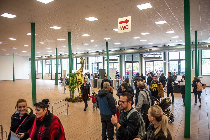 Ostrava ČokoFest 2019 na výstavišti Černá louka. 2.listopadu 2019 v Ostravě.