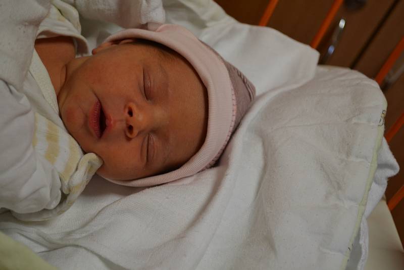 Dominika Macháčová, 1. 1. 2019, 47 cm, 2850 g, Ostrava – Hošťálkovice. Vítkovická nemocnice Ostrava.