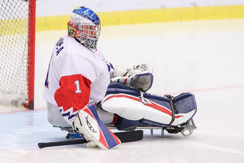 Mistrovství světa v para hokeji 2019, 3. května 2019 v Ostravě. Na snímku Kudela Martin (CZE).