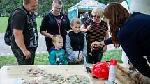 Festival dřeva na Slezskoostravském hradu.