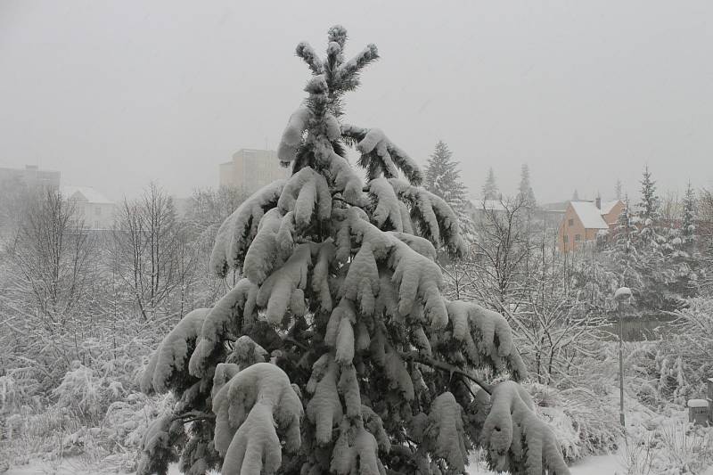 FOTO PRO SROVNÁNÍ: 31.3.2013, Boží hod velikonoční ve Frýdku-Místku - stejný strom ve 14 odpoledne