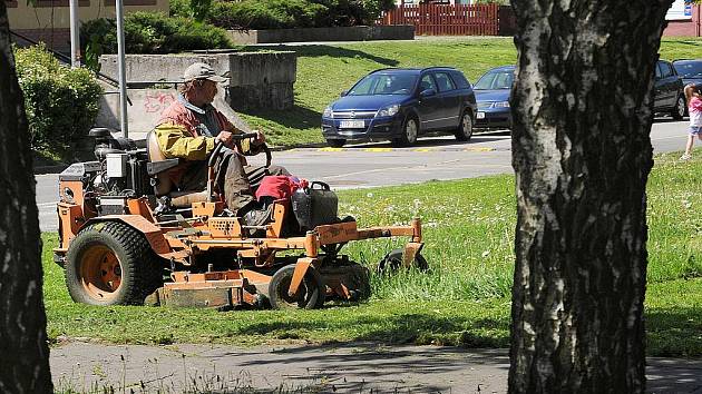 Tak už to začalo. Sečení si užijí až do podzimu - Frýdecko-místecký a  třinecký deník