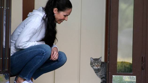Majka je poněkud plachá kočka žijící (s povolením nájemníků) v okolí porubského domova Jany Kozákové. Ta patří k lidem, kteří v moravskoslezské metropoli pomáhají zvířatům v ulicích.