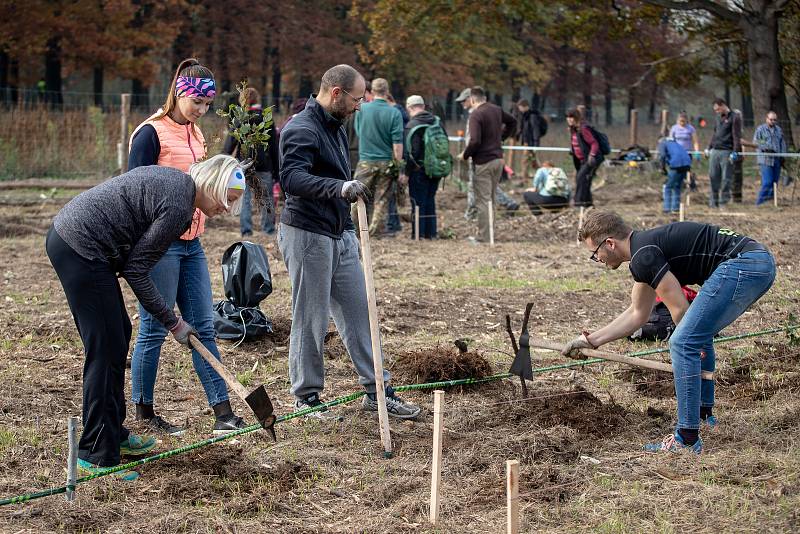 Sázíme lesy nové generace, 19. řina 2019 v Šilheřovicích.