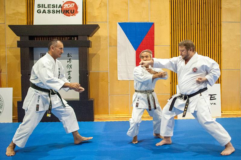 Karatistického semináře Silesia Gasshuku 2017 v Jeseníkách, se první červnový víkend zúčastnil také drobný osmasedmdesátiletý Shihana Masarua Miury, velmistr karate, který pocházejí ze staré japonské samurajské rodiny.