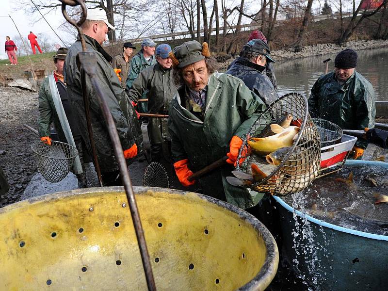 Rybářství Rychvald v úterý uskutečnilo první výlov tohoto roku na rybníku Velkém Cihelníku.