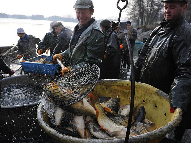 Rybářství Rychvald v úterý uskutečnilo první výlov tohoto roku na rybníku Velkém Cihelníku.