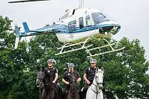 Koně MPO nerozhodí ani vrtulník nad jejich hlavami.
