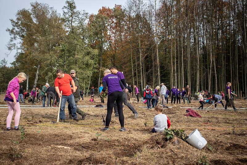 Sázíme lesy nové generace, 19. řina 2019 v Šilheřovicích.
