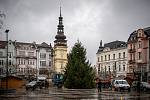 Centrální Masarykovo náměstí v Ostravě bude po pěti letech během Vánoc znovu zdobit živý vánoční strom. Přibližně desetimetrový smrk ztepilý z lokality Jestřábí v Beskydech byl 22. listopadu 2021 přivezen do krajské metropole.