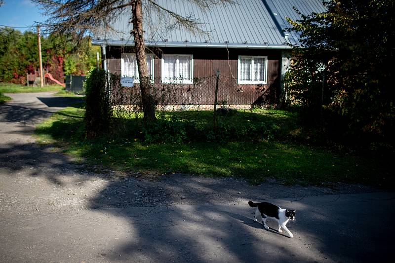 Bedřiška, 1. října 2019 v Ostravě.