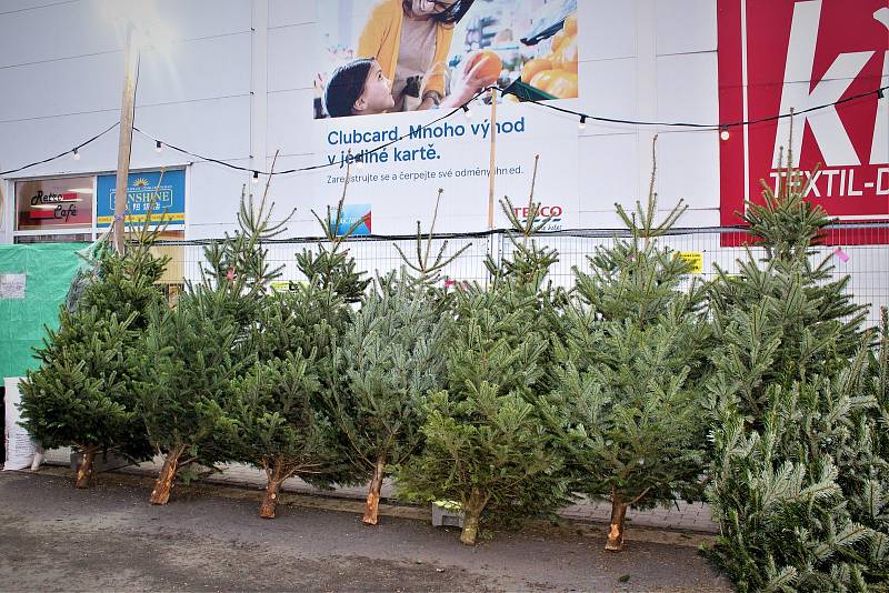 Prodej vánočních stromků v Ostravě, obchodní centrum, Tesco Extra, Hrabová, Ostrava, 3. 12. 2022