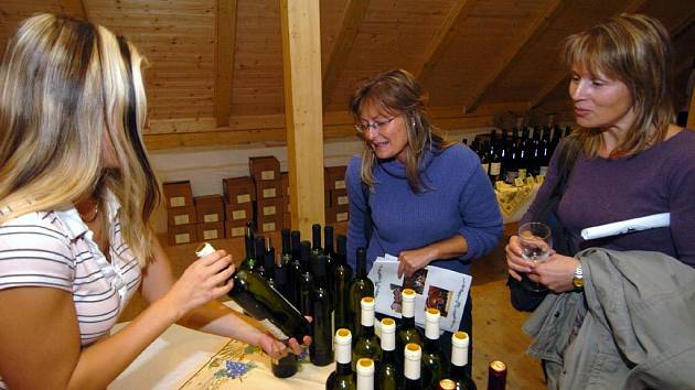 Výstava vína na Slezskoostravském hradě