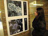 Ojedinělá výstava prašných částic z ostravského ovzduší, vyfocených pod elektronovým mikroskopem, je nyní k vidění ve foyer Radnice města Ostravy.