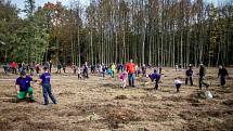 Ilustrační foto z akce Sázíme lesy nové generace, která se uskutečnila 19. řina 2019 v Šilheřovicích.