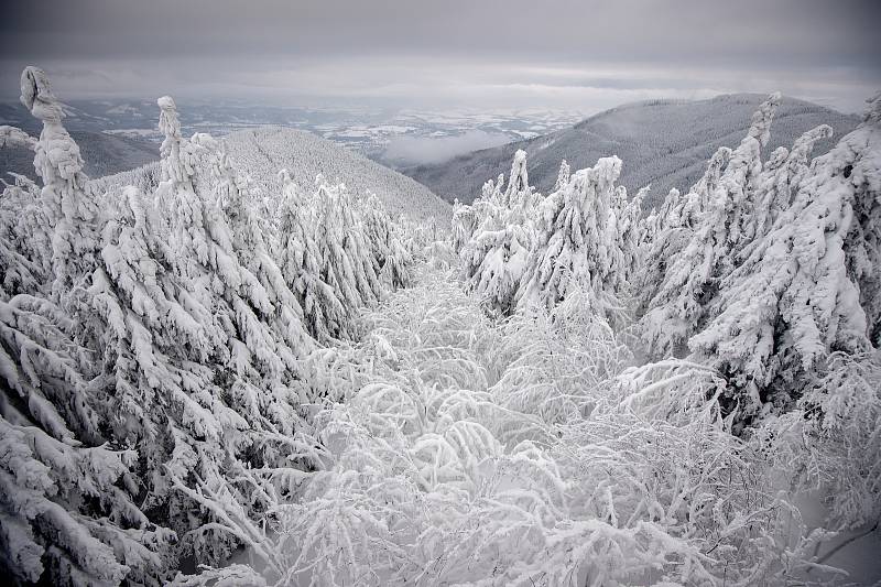 Zima v Beskydech. Ilustrační foto z 11. ledna 2019.