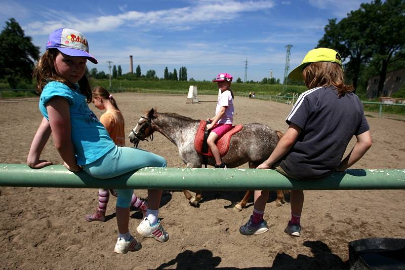 Na táboře si děti vyzkouší, jak se starat o koně.