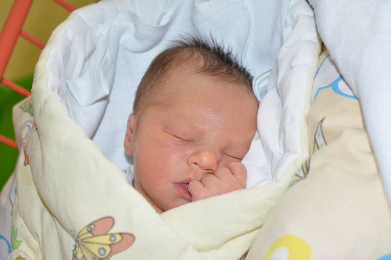 NIKOLAS PROKOPEC 26. 9. 2016, 3440 g, 49 cm, Ostarva-Dubina 