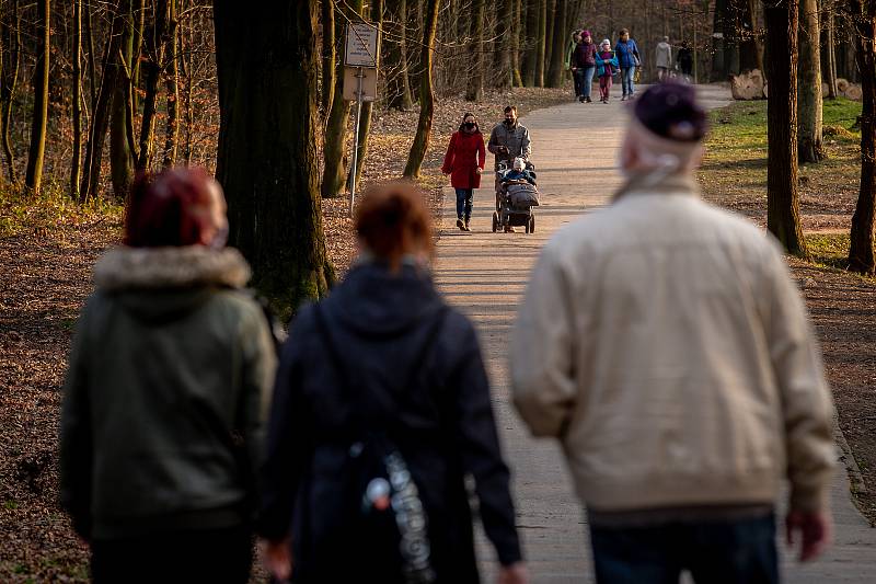 Lidé v rouškách na procházce v Bělském lese v Ostravě, 28. března 2020