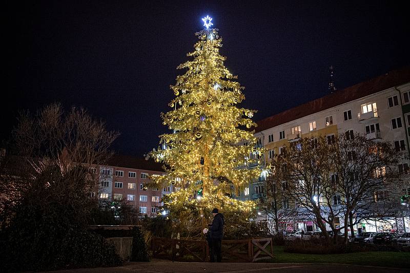 Vánoční strom v Krnově na Hlavním náměstí.