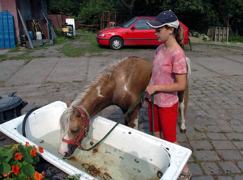 Děti a koně na táboře ve Slezské Ostravě