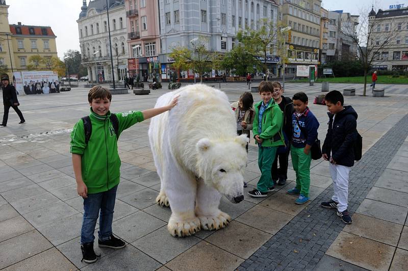 Medvědice Paula bojuje za Arktidu. 