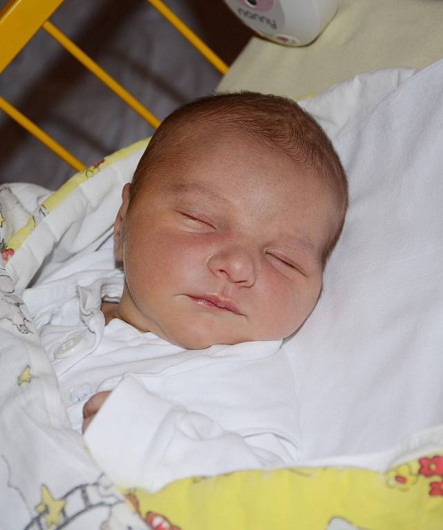 Nina Nováková, 25. 1. 2016, 3590 g, 50 cm, Bohumín