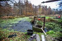 Kouzelný podzim a výlov rybníka v ostravské zoo, 16. listopad 2019.