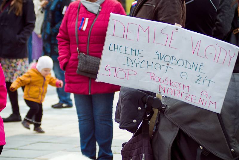 Nedělní demonstrace v Ostravě přilákala především rodiny s dětmi a starší lidi.