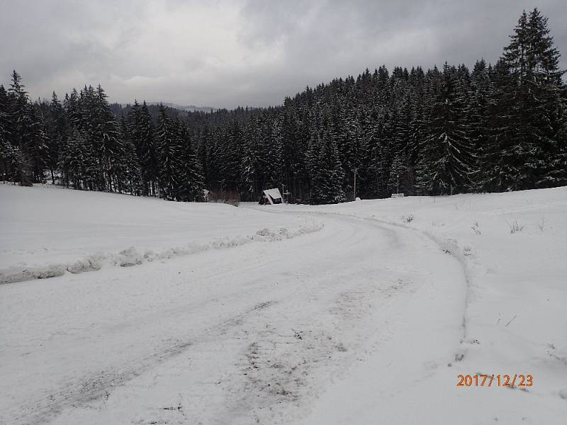 Zásah hasičů při záchraně srnek ve Starých Hamrech.