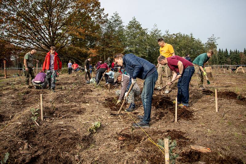 Sázíme lesy nové generace, 19. řina 2019 v Šilheřovicích.