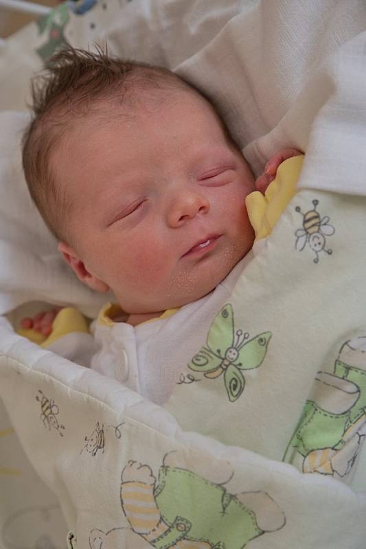 Vilém Hercig, Karviná, narozen 17. července 2022 v Karviné, míra 51 cm, váha 3530 g. Foto: Marek Běhan