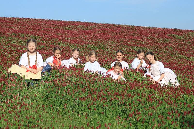 Festival v ulicích - KRASNIČANEK