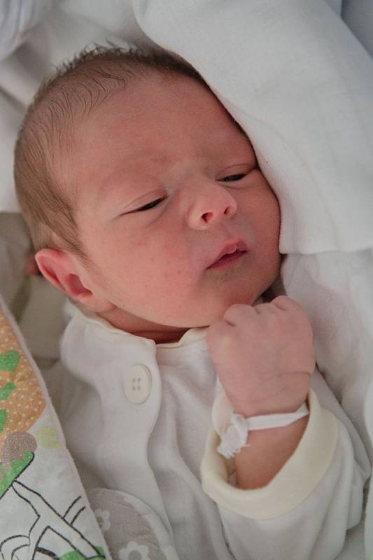 Vojtěch Waloszek, Petrovice, narozen 10. května 2022 v Karviné, míra 51 cm, váha 3160 g. Foto: Marek Běhan