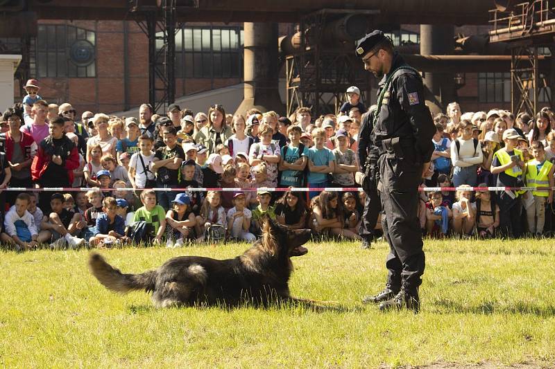 Na Dni policie s majáčkem byla k vidění řada zajímavých ukázek a vystoupení.