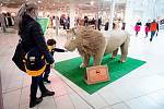 Obchodní centrum Avion Shopping Park v Ostravě v čase před koronavirovou pandemií. Ilustrační foto.