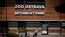 Ilustrační snímek ze Zoo Ostrava.