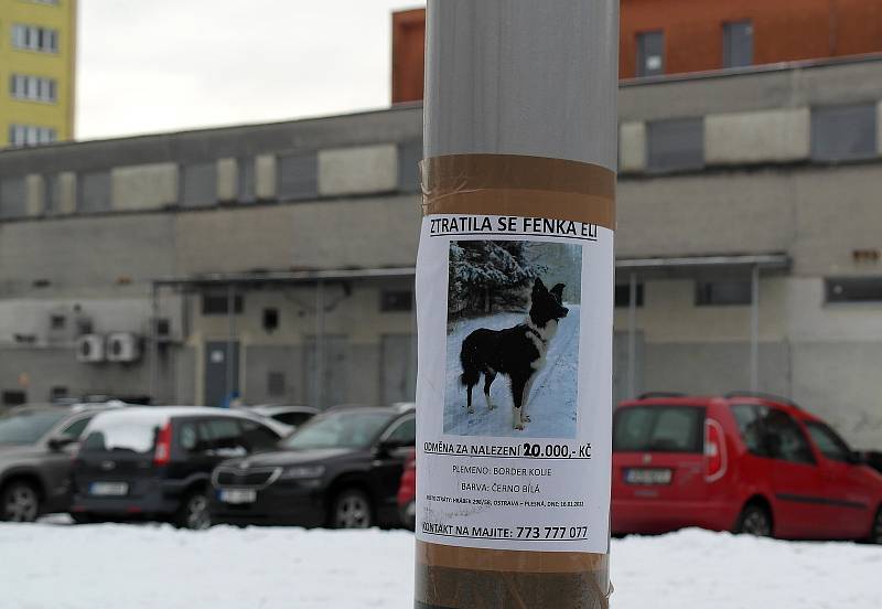 Plakáty ještě s dvacetitisícovou odměnou jsou všude v Porubě i okolí, teď je částka vyšší. Ostrava, leden 2022.