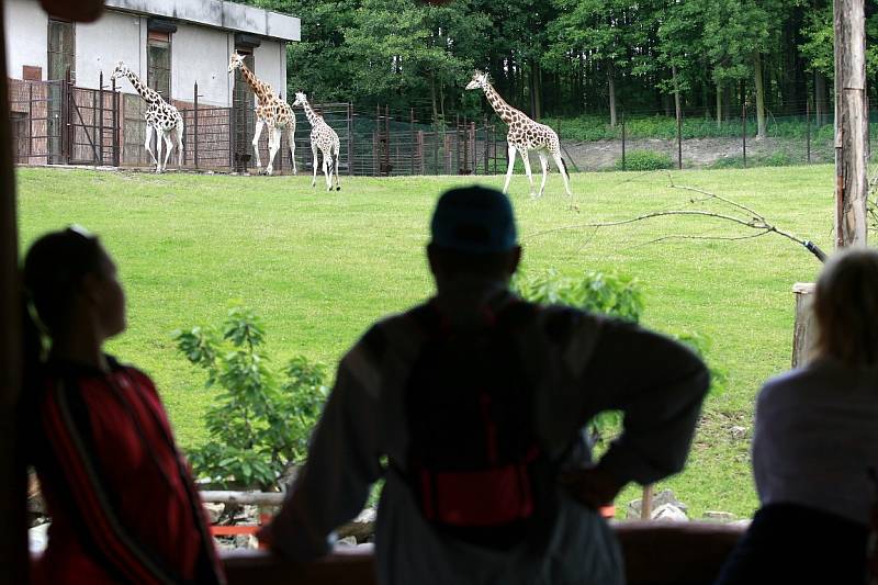 Zoo Ostrava.