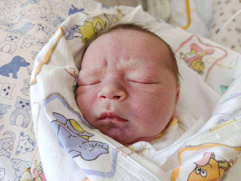 Karel Rusnok, Třinec – Tyra, narozen 12. července 2021, míra 49 cm, váha 3800 g Foto: Gabriela Hýblová