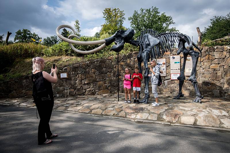 Představení kosterního modelu mamuta srstnatého v Zoologické zahradě Ostrava 15. srpna 2018.