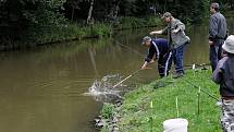 Konec prázdnin se v ostravské zoologické zahradě nesl ve znamení rybářských závodů. V neděli ráno se u jednoho z rybníků v areálu zoo sešly děti ve věku do patnácti let a nahodily vlasce. Na udici pak z rybníku vytáhly pěkné kapří úlovky.