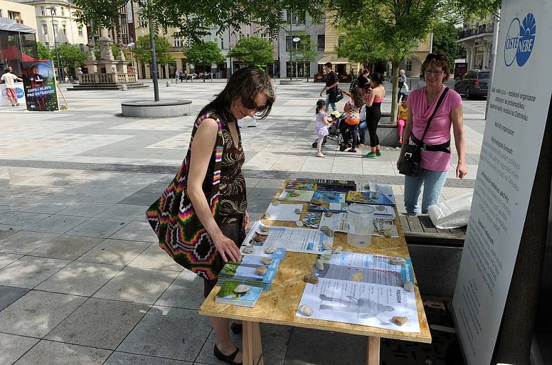 „Staňte se krotiteli vzduchu,“ vybízelo sdružení Čisté nebe. 