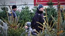 Prodej vánočních stromků v Ostravě, obchodní centrum, Tesco Extra, Hrabová, Ostrava, 3. 12. 2022