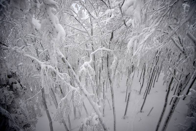 Zima v Beskydech. Ilustrační foto z 11. ledna 2019.