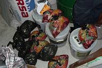 Celníci v garáži kromě alkoholu našli také marihuanu ukrytou v plastových sudech.