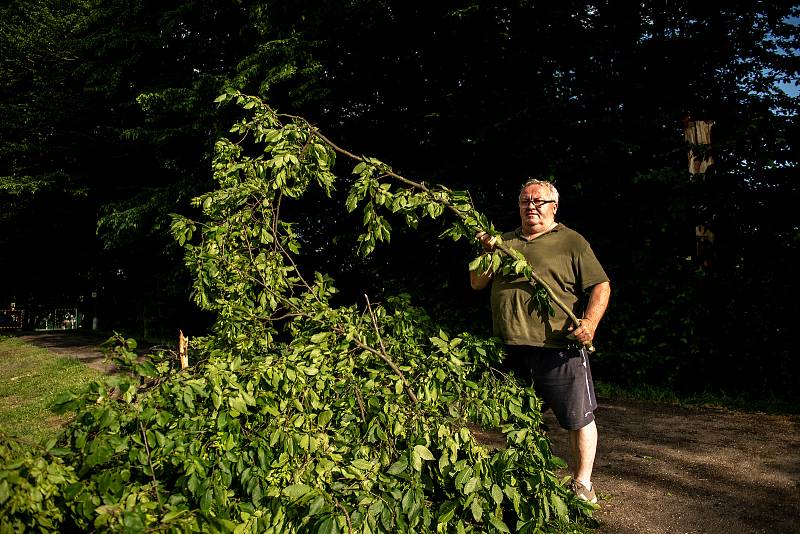 Spadlý strom v parku Petra Bezruče a zvednutá hladina potoku Polančice, 27.6.2020 v Ostravě-Klimkovicích.