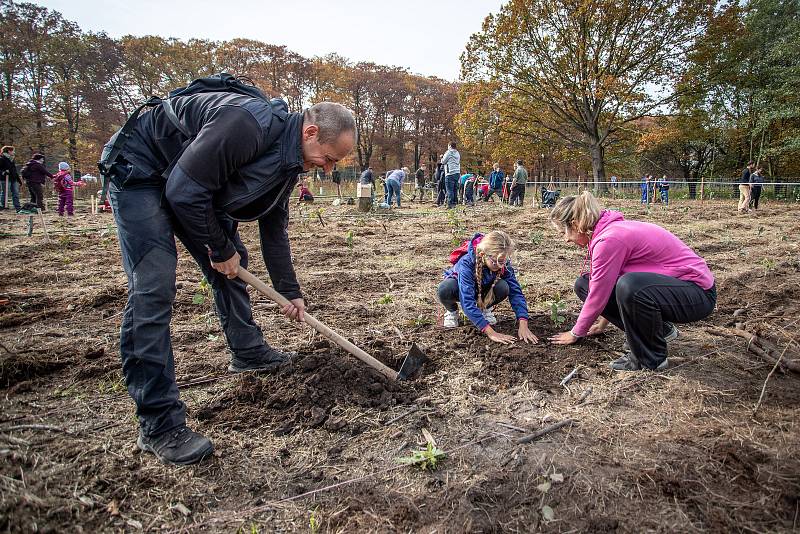 Sázíme lesy nové generace, 19. řina 2019 v Šilheřovicích.